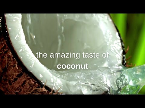 “Rich Chocolate & Coconut Cookies 🍫 Gluten-Free Bliss by Leila”