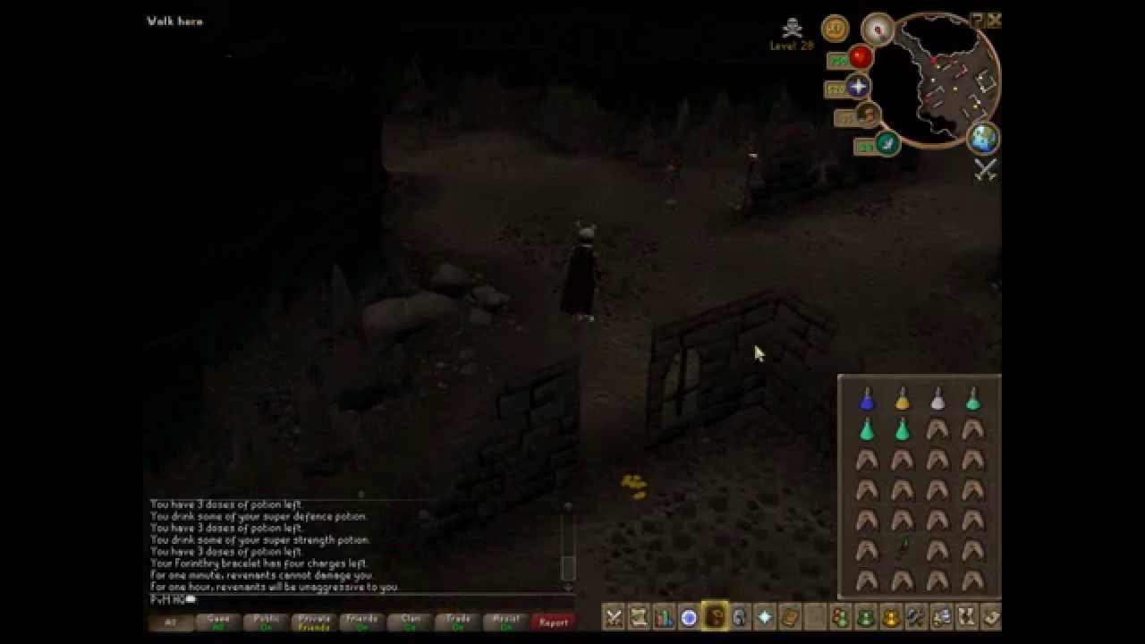 PvM HQ's Revenant Guide