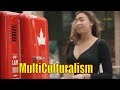 Canadian Beer Fridge - Multiculturalism