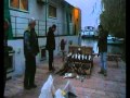 Geese Hunting In Danube Delta With Www Clubaventura Ro