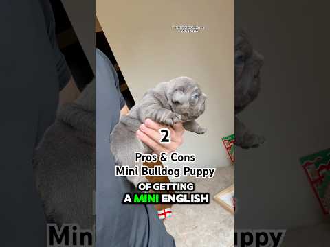 Charter Arms Bulldog - Good or Garbage? #wheelgun 