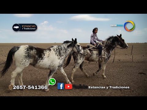 113 Fernanda "Chicha" Olmos (2nd block) Ranches and Traditions