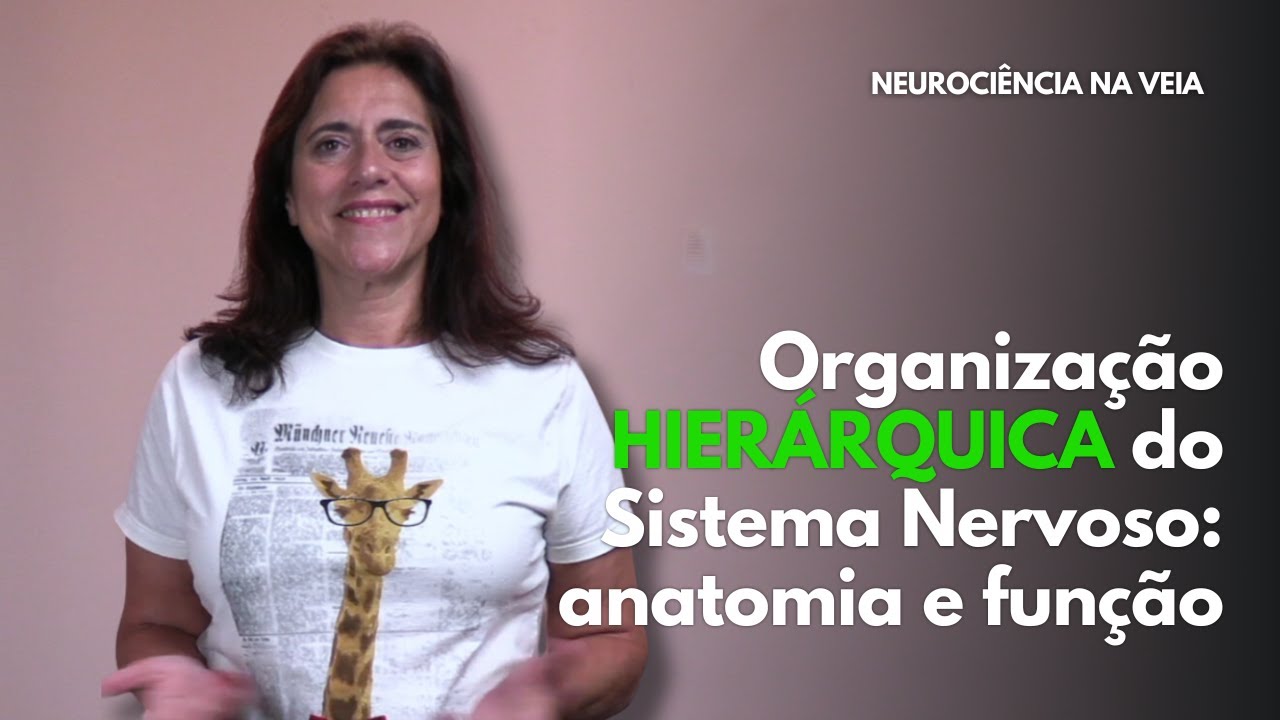 Carla Tieppo | Série Neuroanatomia: níveis de processamento
