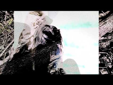 CORE-A MV by Risaripa