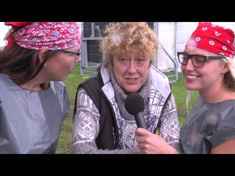 Dicky Woodstock 2015 - Opbouw