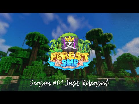 Forest SMP (1.21.4/US) - The #1 Minecraft server's details, IP, vote ...