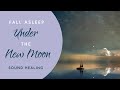 Soul Healing Music - Fall Asleep under the New Moon - Empower Your Intentions with Relaxing Music