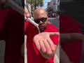 The Magic Sugar Cube Trick 😱