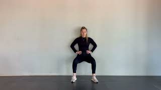 Wall Squats ISO