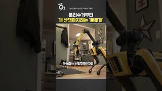 분리수거부터 개 산책까지 하는 '로봇개' / 연합뉴스TV(YonhapnewsTV)