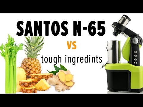 Nutrisantos N65 fibrous ingredients test