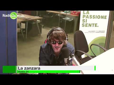 La zanzara Daniela Martani difende l'orso catturato in Trentino 30 aprile 2020