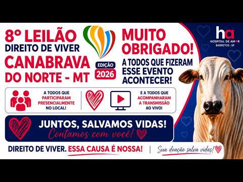 8º LEILÃO DIREITO DE VIVER de Canabrava do Norte - MT