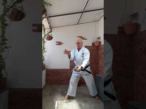 How to practice Nijushiho JKA Karate (A G Sanna)