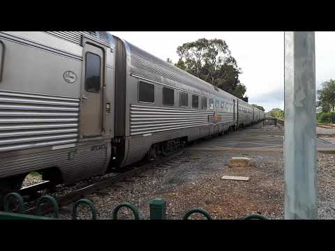 Great Southern Rail Indian Pacific thundering through Parafield Station 16/8/2018