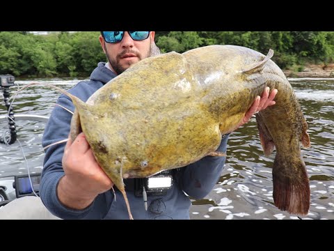 Fishing DEEP water for GIANT Flathead Catfish (Tons of fish)