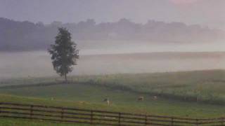 Pat Metheny Country Poem