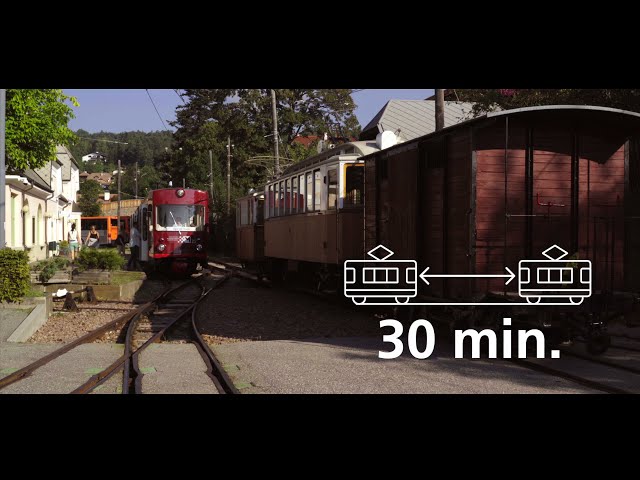 Reise-Video