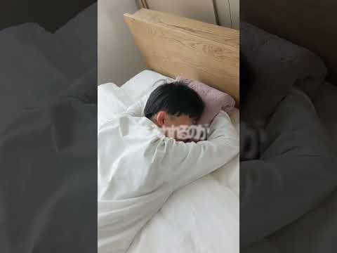今治タオルのドーナツ枕 枕 今治 整体枕 今治枕 今治タオル 今治タオルのドーナツ枕 枕 今治 整体枕 今治枕 今治タオル