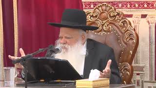 ככה מנצחים את היצר הרע | הרב דניאל זר