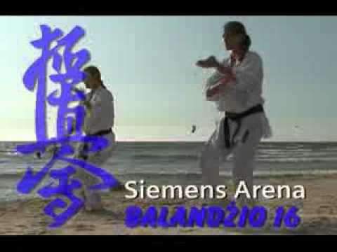 2011 EUROPEAN KYOKUSHIN/SHINKYOKUSHIN CHAMPIONSHIP