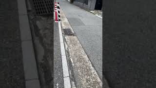 ぽて散歩♪ お久しぶりです♪
