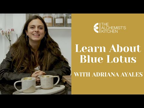 Learn About Blue Lotus With Adriana Ayales At The Alchemist's Kitchen