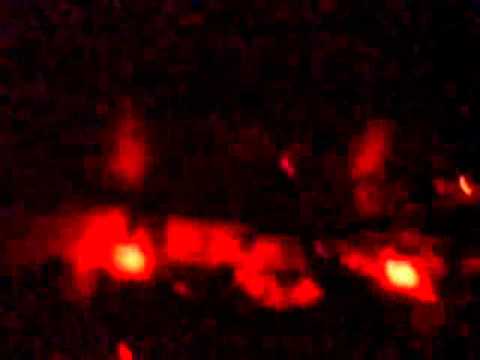 Arno Cost @ Piranha, Zagreb 8.10.2010 LQ