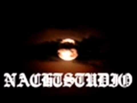 Nachtproducties - Reedns Vo Te Leevn ft. DSM & DiepZinnig