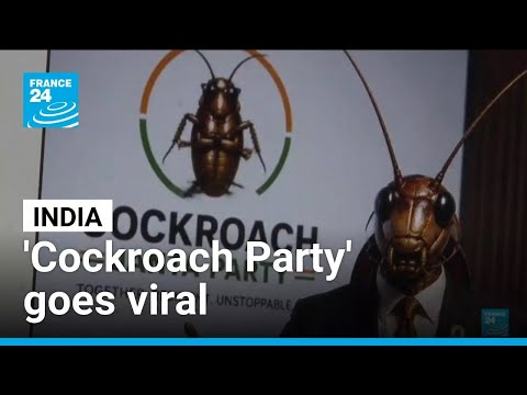 India’s “Cockroach Janta Party” goes viral as Gen Z movement grows • FRANCE 24 English