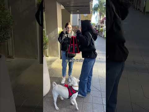 Regalamos ropa fitness por las calles de Nueva Córdoba