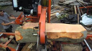 preview picture of video 'Woodmizer. Milling English copper beech.'