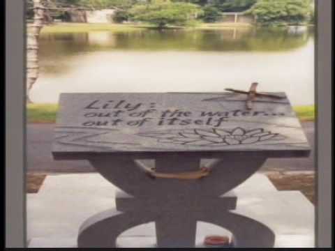Nick Virgilio Remembered