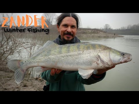 SPINING for ZANDER at the End of WINTER on Po River ...