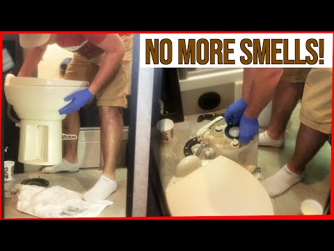 Is Replacing Your Thetford RV Toilet Seal Worth It?