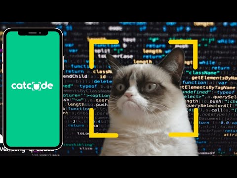 Catcode - Digital Notes on Pap Video