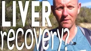 How Long Does it Take for the Liver to Recover After Quitting Alcohol?