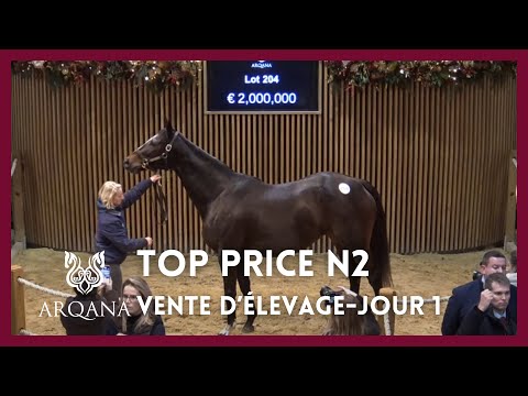 Top Price J1 - N°2 : 2 000 000E - SIBILA SPAIN - Vente Arqana d'Elevage 2023