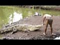1:19 Costa Rica Chito "The Crocodile Man and the ...