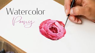 How to paint Peony flower 🌸 Watercolor painting tutorial