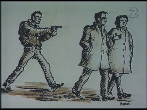 Nytt Huvudspår I Palmeutredningen (Rapport 1994-03-11)