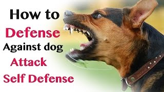 how to defend against dog attack- self defence