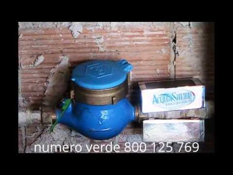 Diarrea e mal di schiena e la temperatura dello stomaco non è Elementi comuni ausiliari