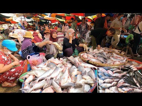 Cambodian Wet Market Lifestyle Scenes & Activities - Fish, Vegetables, Chicken, Meat, Pork & More