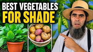 12 Best Vegetables to Grow in a Shady Garden