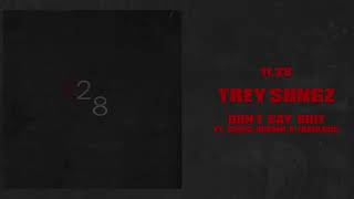 Trey Songz   Don’t Say Shit feat  Chris Brown &amp; Fabolous Official Audio