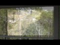 The Weepies-Little Bird