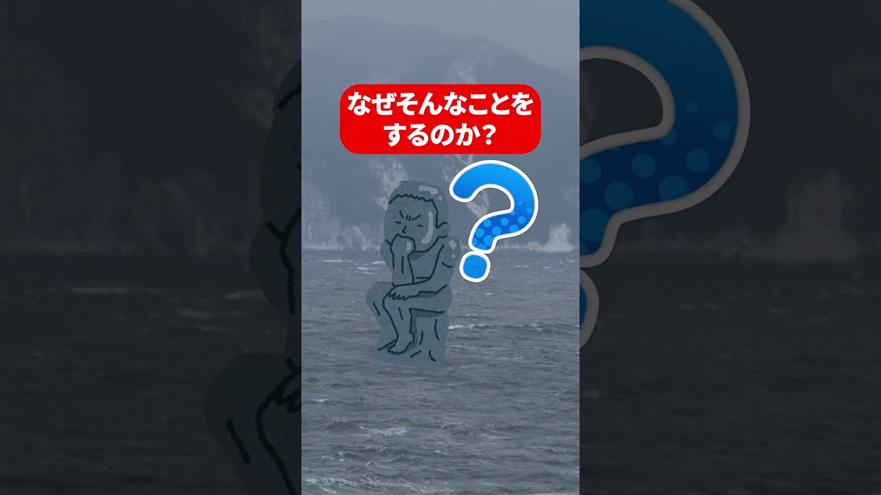 津軽海峡には日本じゃない海域があるってほんと？ #shorts