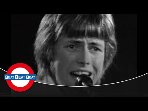 The Tages - Every Raindrop Means A Lot (1967)