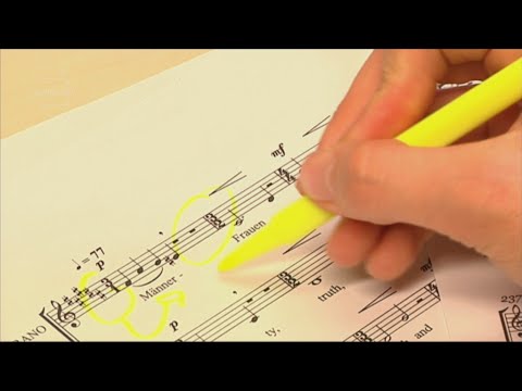 CampusTV Mainz 228 - Quick Check: Musikwissenschaft